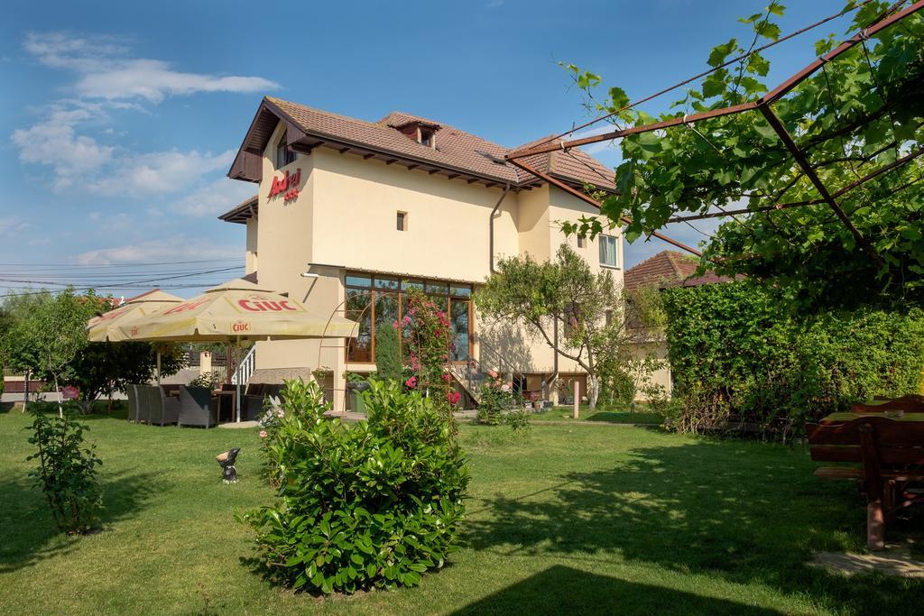 Râmnicu Vâlcea Pensiunea Andrei Rm Valcea מראה חיצוני תמונה