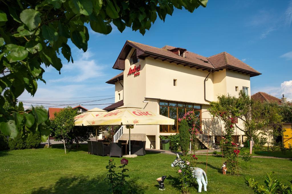 Râmnicu Vâlcea Pensiunea Andrei Rm Valcea מראה חיצוני תמונה